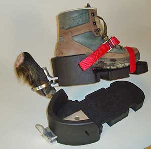 Tracking Shoes